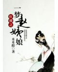 红楼之一梦赵姨娘