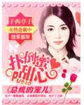 扑倒蜜甜心：总统的宠儿
