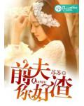 前夫,你好渣