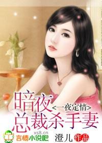 一夜定情:暗夜总裁杀手妻