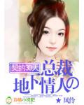 契约30天:总裁的地下情人