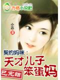 契约妈咪:天才儿子笨蛋妈