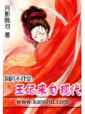 拜堂不洞房:王妃来自现代