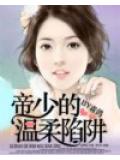帝少的温柔陷阱