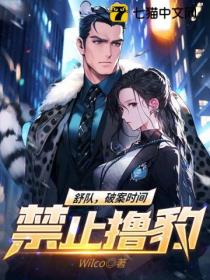 舒队,破案时间禁止撸豹