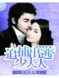 全球通缉:追捕出逃少夫人