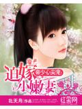 帝少心尖宠:迫嫁小嫩妻