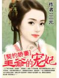 契约娇妻:王爷的宠妃