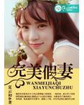 完美假妻