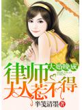 大婚晚成:律师大人惹不得