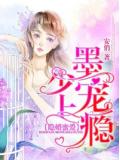 隐婚蜜爱:墨少,宠上瘾!