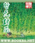 碧血洗银枪