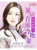 情迷雇佣兵:暴戾首席冷艳妻