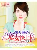 前夫缠婚:宠妻快上位