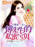 挚爱一生:傅先生的私蜜宝贝