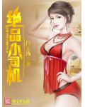 绝品小司机