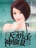 首席上瘾:天才儿子神偷妻