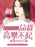 情深意动:总裁高攀不起
