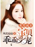 蜜爱前妻:宝贝乖乖受宠