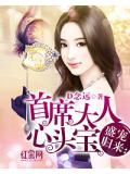盛宠归来:首席大人心头宝