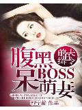 前夫追缉令:腹黑boss呆萌妻