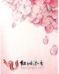 妻子帮我找老婆