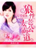掠爱成欢:狼性老公太霸道