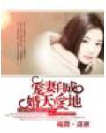 宠妻自成:婚天爱地