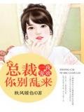 一夜宠欢:总裁你别乱来