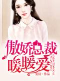 傲娇总裁暖暖爱