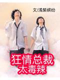 狂情总裁太毒辣