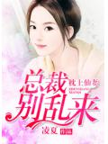 枕上仙妻,总裁别乱来