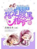 女帝招夫:拖走腹黑相爷