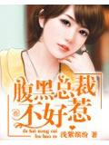 腹黑总裁不好惹
