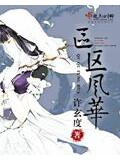 区区风华