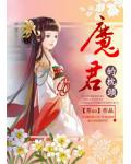 魔君的枕头