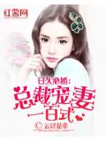 日久必婚:总裁宠妻一百式