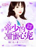 隐婚秘爱:帝少的甜蜜心宠