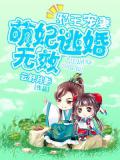 邪王宠妻:萌妃逃婚无效