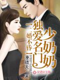 二婚不昏,独爱名门少奶奶