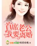 首席老公,我要离婚!