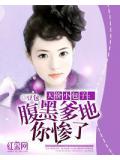 天价小包子:腹黑爹地你惨了