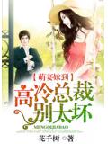 萌妻嫁到:高冷总裁别太坏