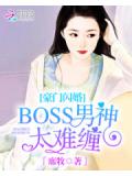 豪门闪婚:boss男神太难缠