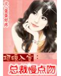 拒狼入室:总裁慢点吻