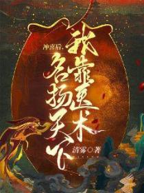 冲喜后,我靠医术名扬天下