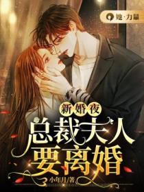 新婚夜,总裁夫人要离婚