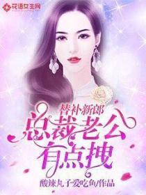 替补新郎:总裁老公有点拽