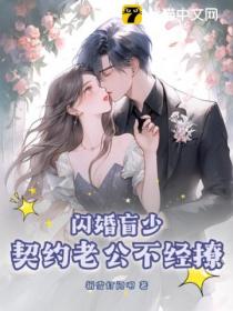 闪婚盲少,契约老公不经撩
