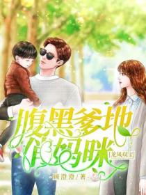龙凤双宝:腹黑爹地俏妈咪